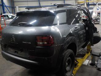 Citroën C4 C4 Cactus (0B/0P) Hatchback 5-drs 1.2 PureTech 82 12V (EB2F(HMZ)) [60k=
W]  (09-2014/...) picture 3