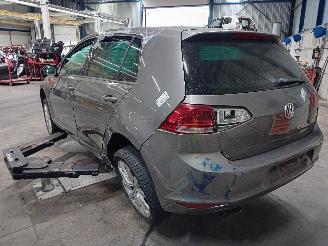 Volkswagen Golf Golf VII (AUA) Hatchback 1.4 TSI 16V (CMBA(Euro 5)) [90kW]  (11-2012/0=
3-2020) picture 4