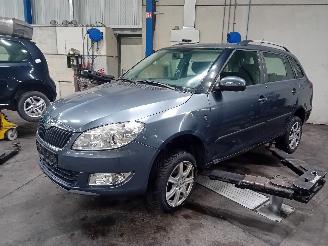 Skoda Fabia Fabia II Combi Combi 5-drs 1.2 TDI 12V Greenline (CFWA) [55kW]  (05-20=
10/12-2014) picture 1