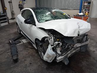 Renault Mégane Megane III Coupe (DZ) Hatchback 3-drs 2.0 16V TCe 180 (F4R-870(F4R-L8)=
) [132kW]  (11-2008/08-2015) picture 2