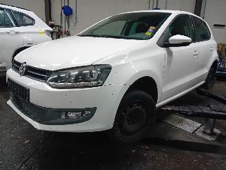 uszkodzony samochody osobowe Volkswagen Polo Polo V (6R) Hatchback 1.2 12V (CGPB(Euro 5)) [44kW]  (06-2009/05-2014)= 2010/12