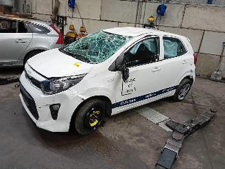 Salvage car Kia Picanto Picanto (JA) Hatchback 1.0 12V (G3LD) [49kW]  (03-2017/...) 2023/7