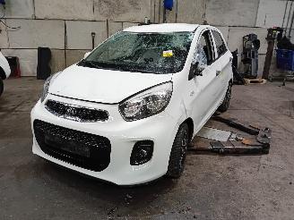 Salvage car Kia Picanto Picanto (TA) Hatchback 1.0 12V (G3LA) [49kW]  (05-2011/06-2017) 2016/2