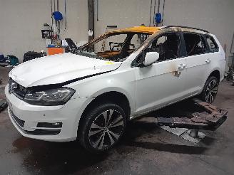 damaged passenger cars Volkswagen Golf Golf VII Variant (AUVV) Combi 1.6 TDI BlueMotion 16V (CRKB) [81kW]  (0=
5-2013/12-2020) 2014/12
