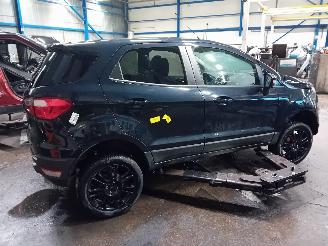 Ford EcoSport EcoSport (JK8) SUV 1.0 EcoBoost 12V 125 (M1JJ) [92kW]  (10-2013/...) picture 3