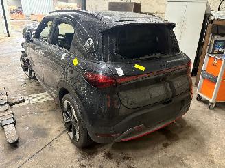 Smart  #1 SUV Brabus, Pulse (TZ180XSB01) [315kW]  (06-2022/...) picture 4