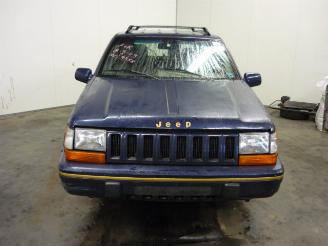 Jeep Grand-cherokee (wg/wj) suv 5.2i v-8 (y(v8-318))  (09-1992/08-2000) picture 1