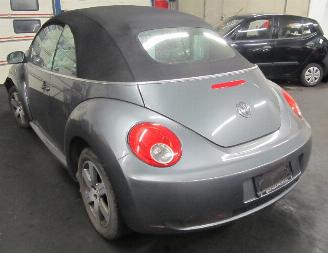 Volkswagen New-beetle  picture 4