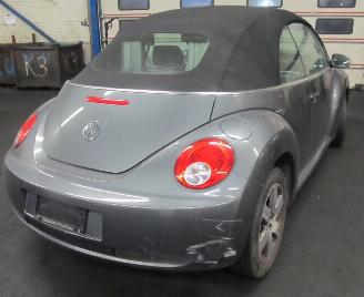 Volkswagen New-beetle  picture 3