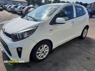Kia Picanto Picanto (JA), Hatchback, 2017 1.0 12V picture 7