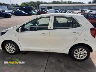 Kia Picanto Picanto (JA), Hatchback, 2017 1.0 12V picture 6