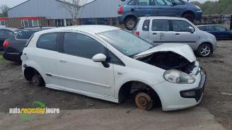 disassembly passenger cars Fiat Punto Punto Evo (199), Hatchback, 2009 / 2012 1.3 JTD Multijet 85 16V Euro 5 2010/8