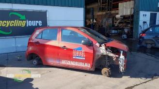 demontáž osobní automobily Kia Picanto Picanto (TA), Hatchback, 2011 / 2017 1.0 12V 2012/4