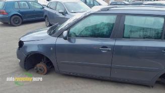 Skoda Fabia Fabia II Combi, Combi 5-drs, 2007 / 2015 1.2 TDI 12V Greenline picture 20