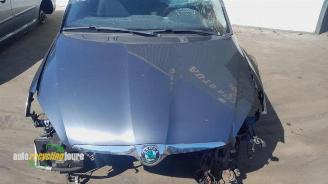 Skoda Fabia Fabia II Combi, Combi 5-drs, 2007 / 2015 1.2 TDI 12V Greenline picture 35