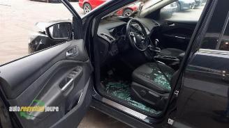 Ford Kuga Kuga II (DM2), SUV, 2012 2.0 TDCi 16V 163 4x4 picture 9