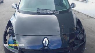 Renault Grand-scenic Grand Scenic III (JZ), MPV, 2009 / 2016 1.4 16V TCe 130 picture 16