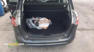 Ford B-Max B-Max (JK8), MPV, 2012 1.0 EcoBoost 12V 100 picture 17