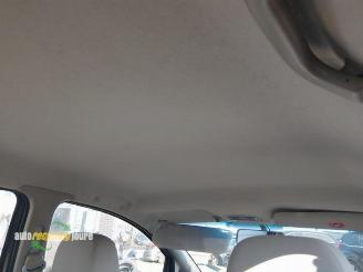 Landwind CV9 CV9, MPV, 2006 1.6 16V Flex Fuel picture 7