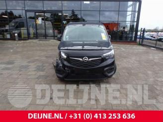 Opel Combo Combo Cargo, Van, 2018 1.6 CDTI 75 picture 2