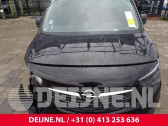 Opel Combo Combo Cargo, Van, 2018 1.6 CDTI 75 picture 35