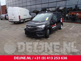 Opel Combo Combo Cargo, Van, 2018 1.6 CDTI 75 picture 3