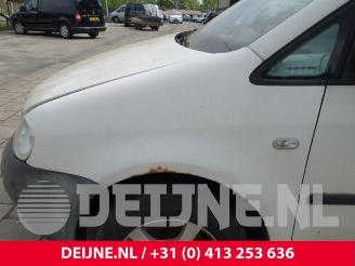 Volkswagen Caddy Caddy III (2KA,2KH,2CA,2CH), Van, 2004 / 2015 2.0 SDI picture 9