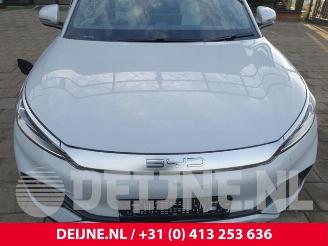 BYD Atto 3 Atto 3/Atto 3 Evo, SUV, 2022 FWD 60 kWh picture 34