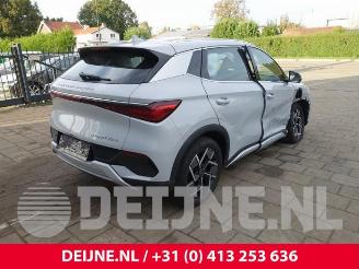 BYD Atto 3 Atto 3/Atto 3 Evo, SUV, 2022 FWD 60 kWh picture 7
