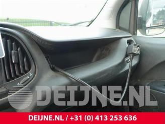 Fiat Doblo Doblo Cargo (263), Van, 2010 1.4 16V picture 23