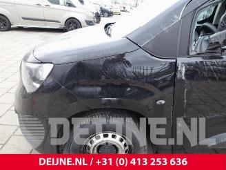 Opel Combo Combo Cargo, Van, 2018 1.5 CDTI 75 picture 9