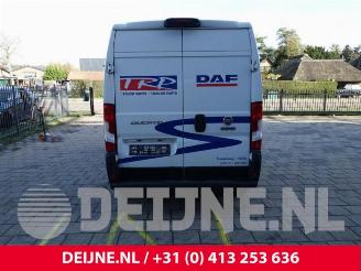Fiat Ducato Ducato (250), Van, 2006 2.3 D 130 Multijet picture 6