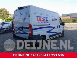 Fiat Ducato Ducato (250), Van, 2006 2.3 D 130 Multijet picture 7