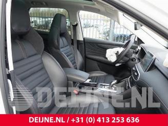 MG EHS HS/EHS I (AS23), SUV, 2018 1.5 EHS T-GDI Hybrid picture 34