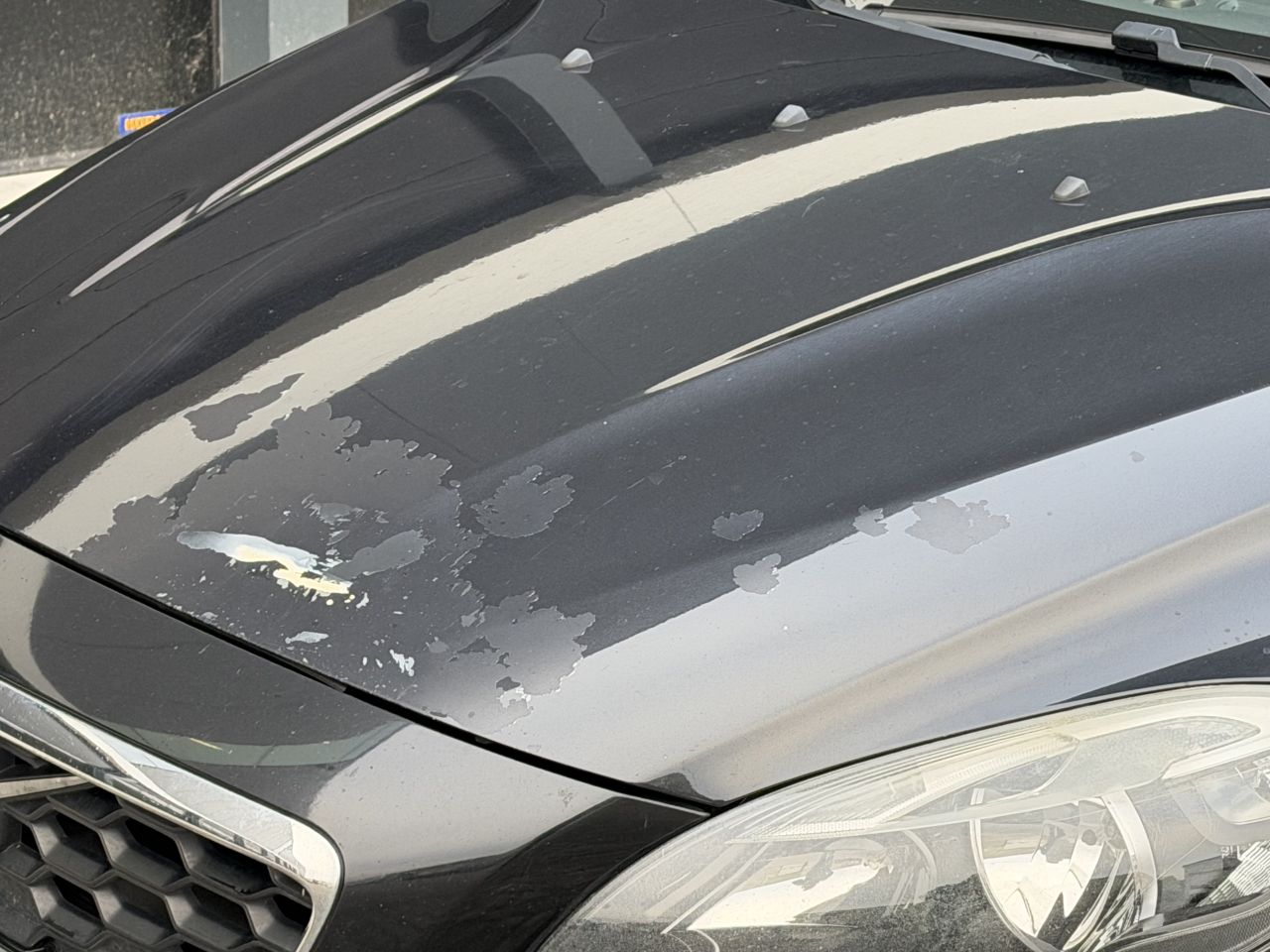 Volvo V-40