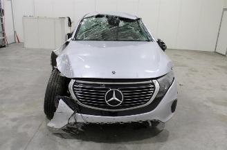 Mercedes EQC  picture 9
