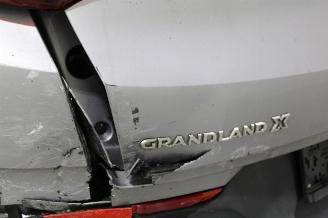 Opel Grandland X picture 18
