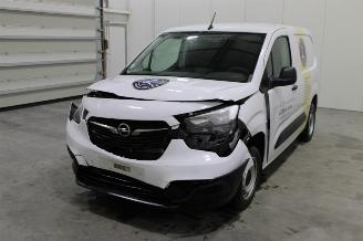 disassembly passenger cars Opel Combo  2023/9