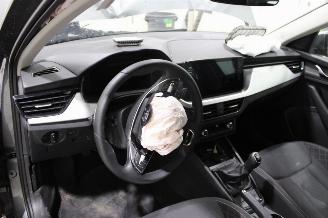 Skoda Kamiq  picture 9