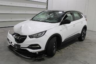 Opel Grandland X picture 1