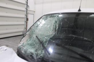 Renault Kangoo  picture 7