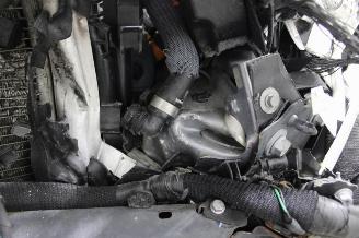 Renault Austral  picture 19