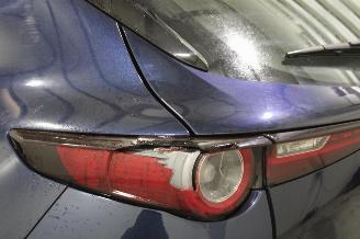 Mazda CX-30  picture 8