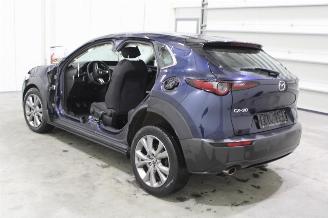Mazda CX-30  picture 5