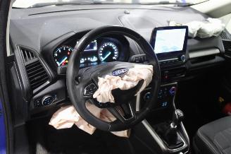 Ford EcoSport  picture 10