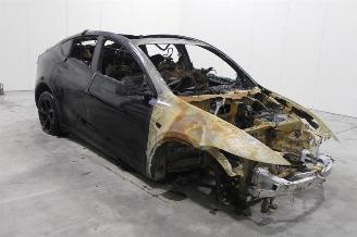 Tesla Model Y  picture 3
