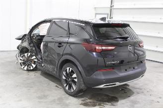 Opel Grandland X picture 5