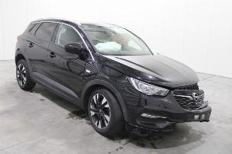 Opel Grandland X picture 3