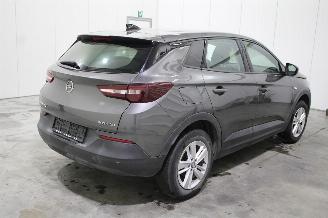 Opel Grandland (X) picture 3
