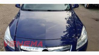 Opel Insignia Insignia Sports Tourer, Combi, 2008 / 2017 2.0 CDTI 16V 130 ecoFLEX picture 15